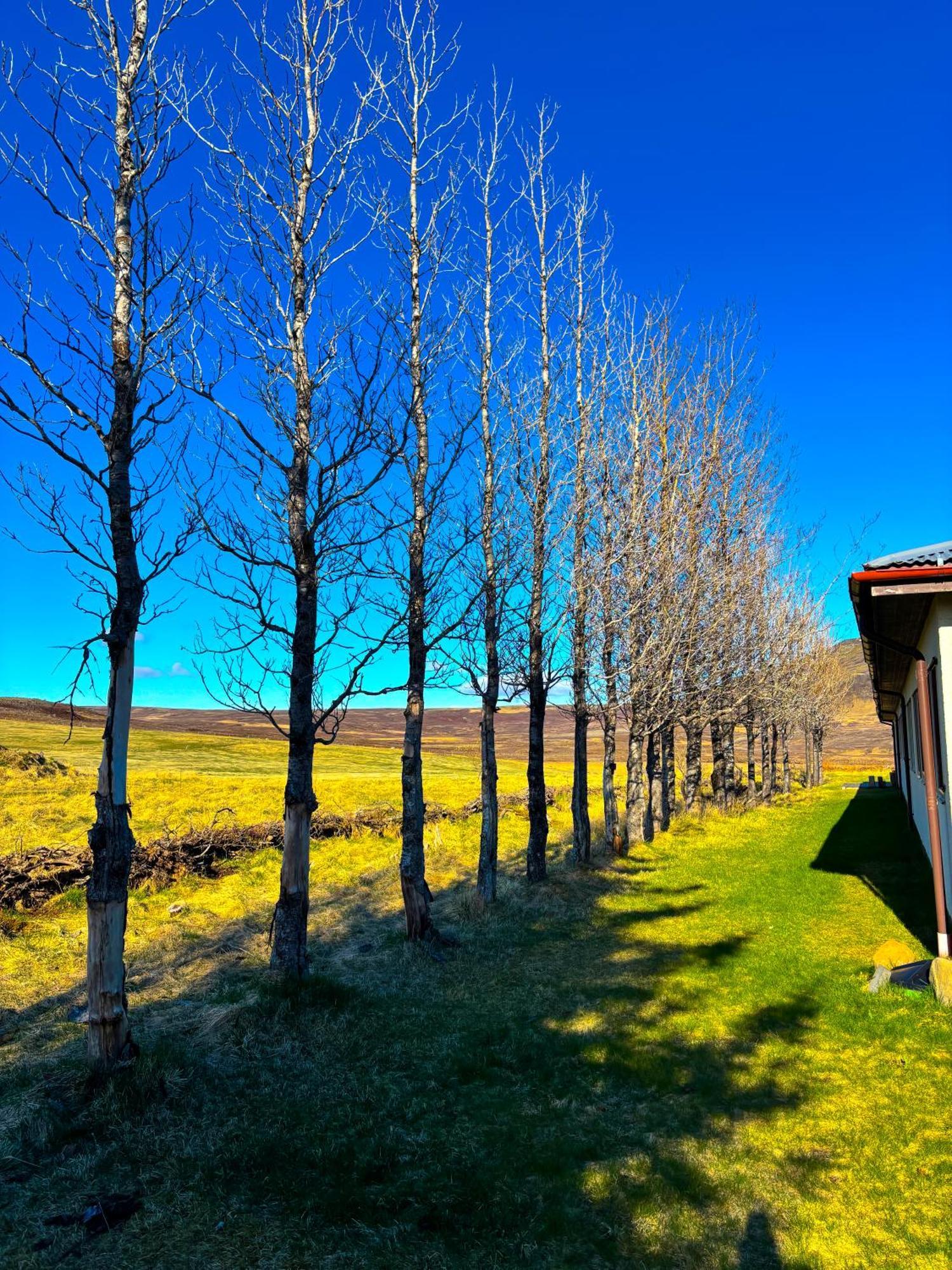 Bru Country Estate Otel Selfoss Dış mekan fotoğraf